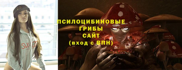 спиды Вяземский