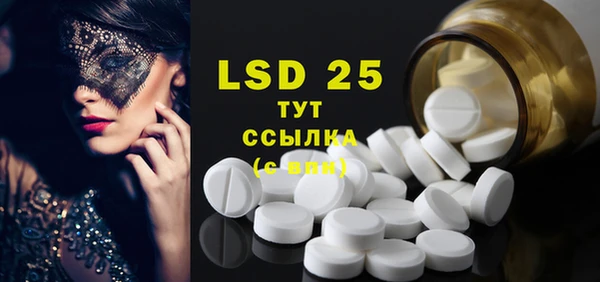 спиды Вяземский