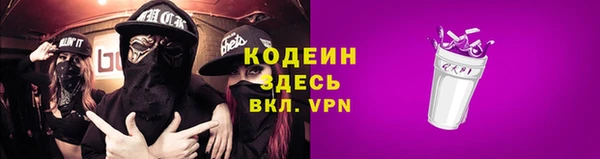 спиды Вяземский