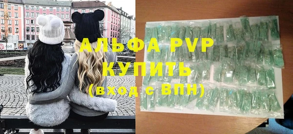 спиды Вяземский