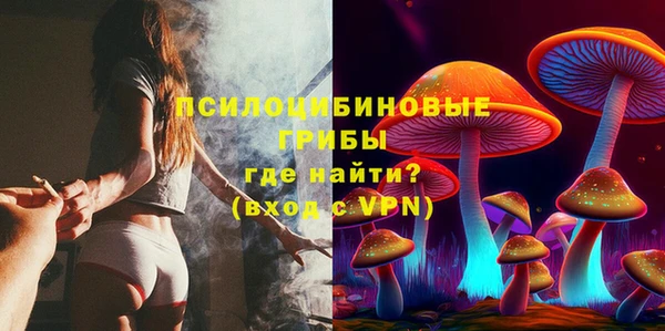 спиды Вяземский