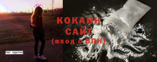 спиды Вяземский