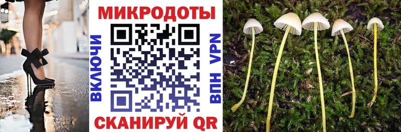 Галлюциногенные грибы MAGIC MUSHROOMS  Купить  Борзя 